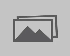 Bầu bí cũng không tha